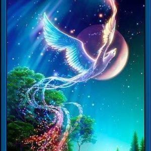 Meet your Posher, Ave